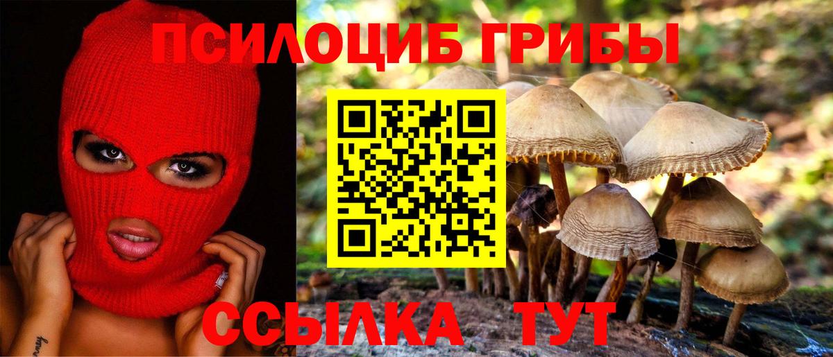 Кувандык  где можно купить   Вход с VPN  Псилоцибиновые грибы Cubensis 