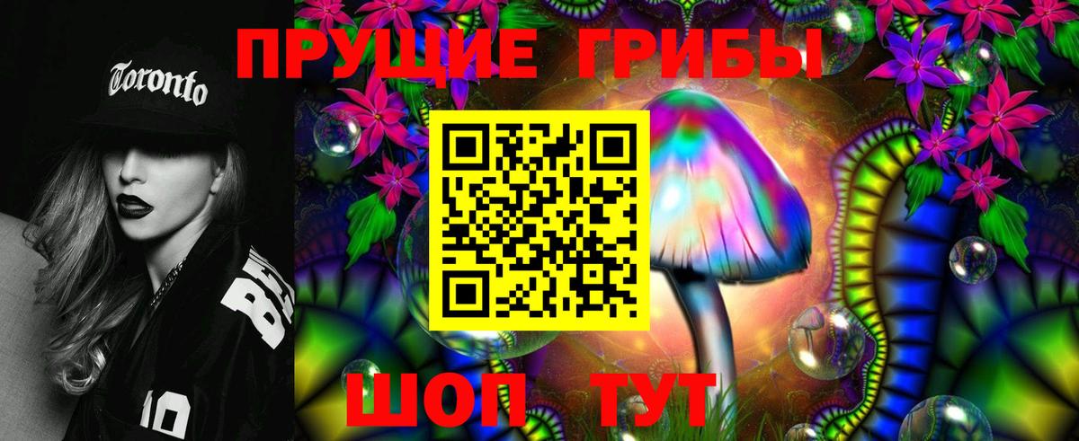 Псилоцибиновые грибы мицелий Кувандык
