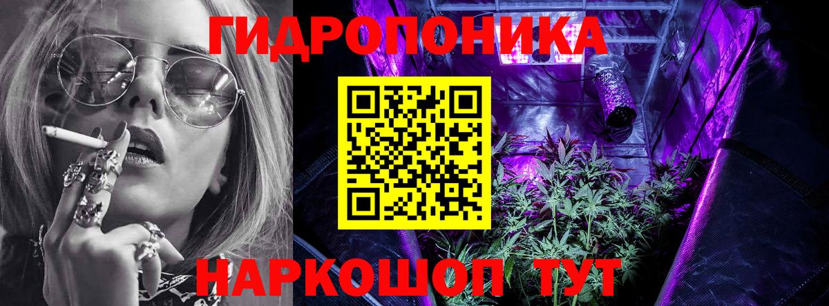 Канабис гибрид Кувандык